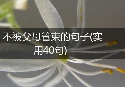 不被父母管束的句子(实用40句)