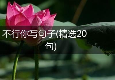 不行你写句子(精选20句)
