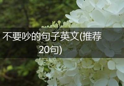 不要吵的句子英文(推荐20句)