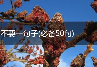 不要一句子(必备50句)