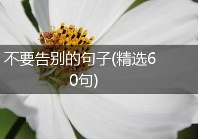 不要告别的句子(精选60句)