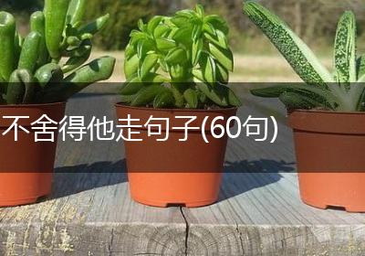 不舍得他走句子(60句)