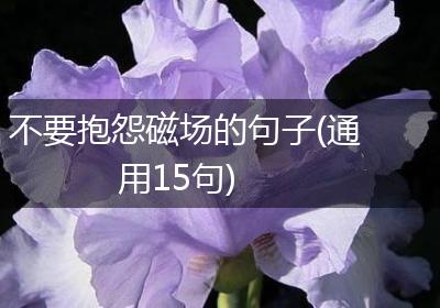 不要抱怨磁场的句子(通用15句)