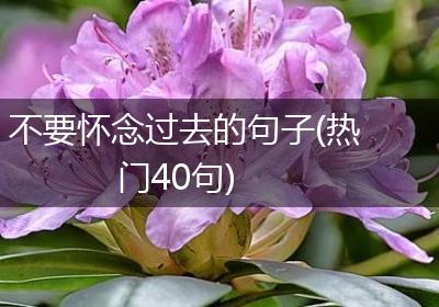 不要怀念过去的句子(热门40句)