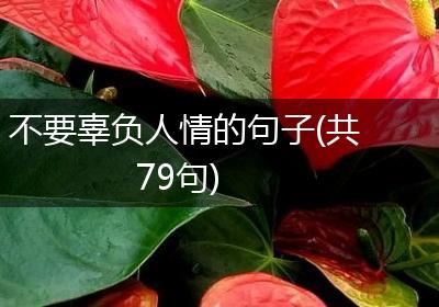 不要辜负人情的句子(共79句)