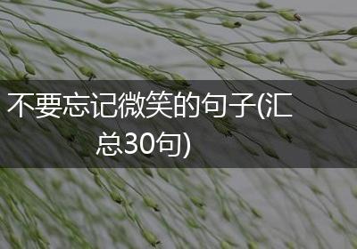 不要忘记微笑的句子(汇总30句)