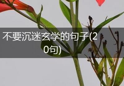 不要沉迷玄学的句子(20句)