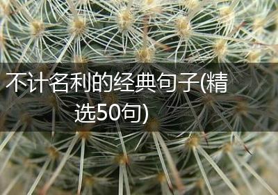 不计名利的经典句子(精选50句)