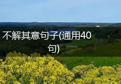 不解其意句子(通用40句)