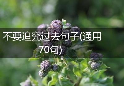 不要追究过去句子(通用70句)