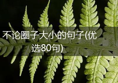 不论圈子大小的句子(优选80句)