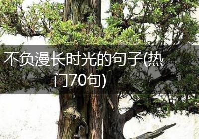 不负漫长时光的句子(热门70句)