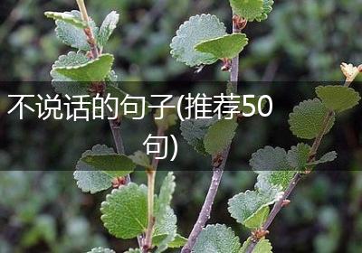 不说话的句子(推荐50句)