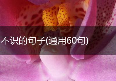 不识的句子(通用60句)