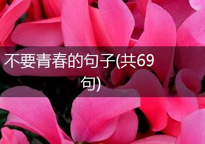 不要青春的句子(共69句)