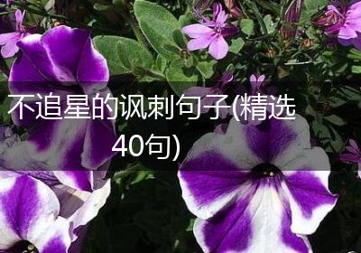 不追星的讽刺句子(精选40句)