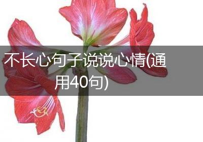 不长心句子说说心情(通用40句)