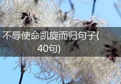 不辱使命凯旋而归句子(40句)