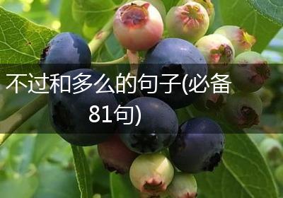 不过和多么的句子(必备81句)