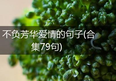 不负芳华爱情的句子(合集79句)