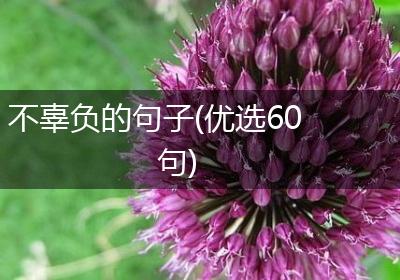 不辜负的句子(优选60句)