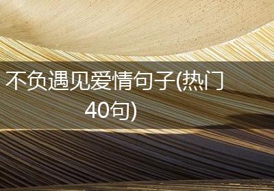 不负遇见爱情句子(热门40句)