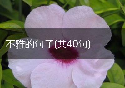 不雅的句子(共40句)