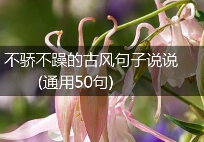 不骄不躁的古风句子说说(通用50句)
