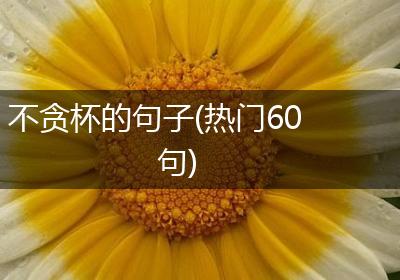 不贪杯的句子(热门60句)