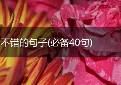不错的句子(必备40句)