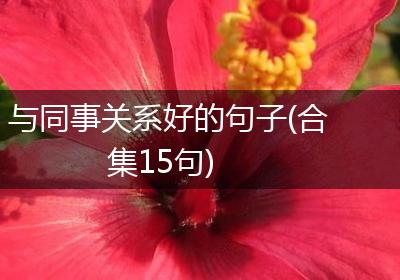 与同事关系好的句子(合集15句)