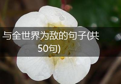 与全世界为敌的句子(共50句)