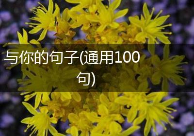 与你的句子(通用100句)