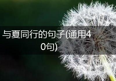 与夏同行的句子(通用40句)