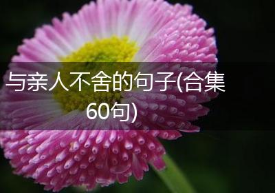 与亲人不舍的句子(合集60句)