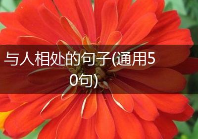 与人相处的句子(通用50句)