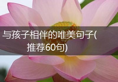 与孩子相伴的唯美句子(推荐60句)