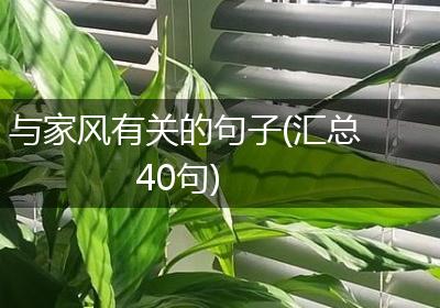 与家风有关的句子(汇总40句)