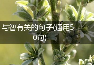 与智有关的句子(通用50句)
