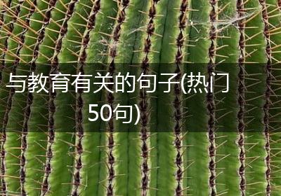 与教育有关的句子(热门50句)