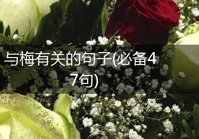 与梅有关的句子(必备47句)