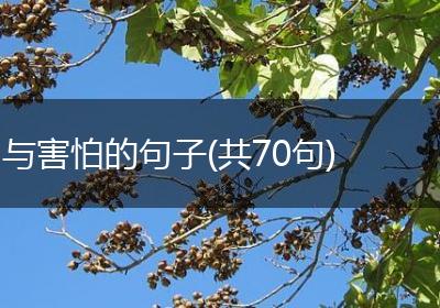 与害怕的句子(共70句)