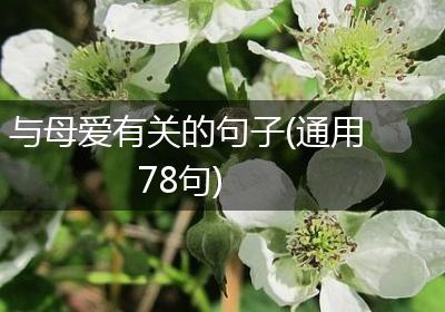与母爱有关的句子(通用78句)