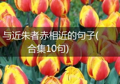 与近朱者赤相近的句子(合集10句)