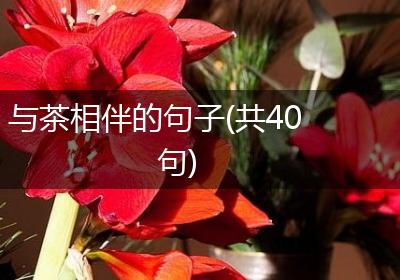 与茶相伴的句子(共40句)