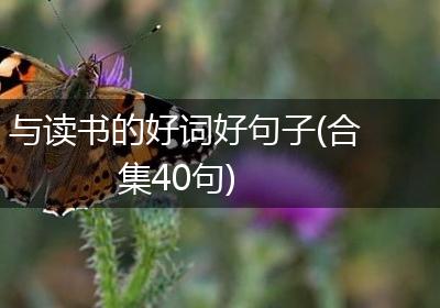 与读书的好词好句子(合集40句)