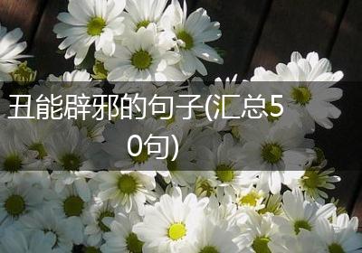 丑能辟邪的句子(汇总50句)
