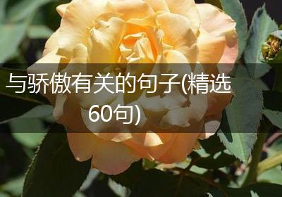 与骄傲有关的句子(精选60句)