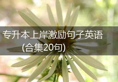 专升本上岸激励句子英语(合集20句)