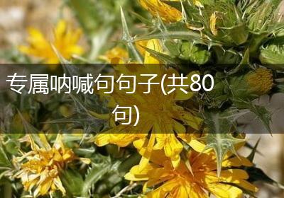 专属呐喊句句子(共80句)
